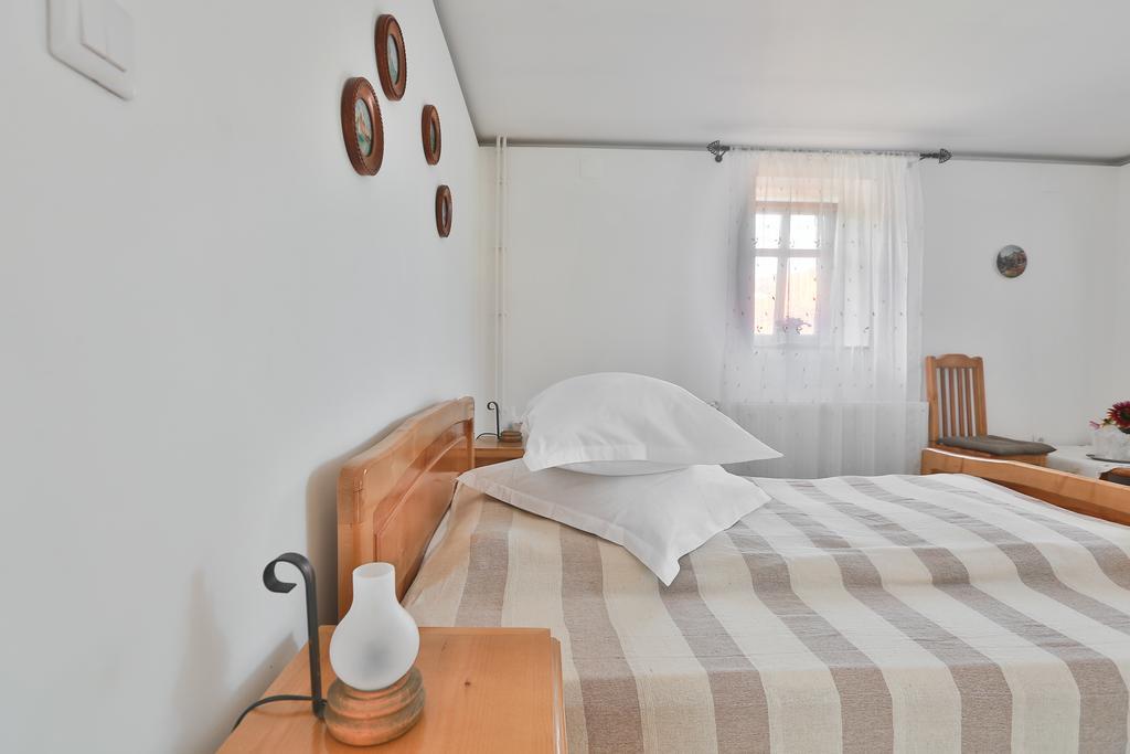 Pensiunea Casa Canda Salasu de Sus Zimmer foto